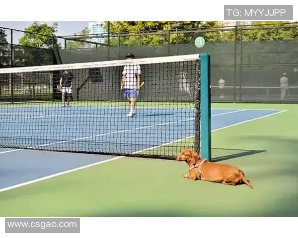 北京网球队在比赛中的战术掌控与失误分析探讨